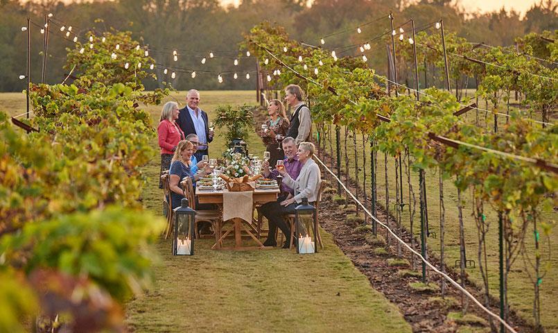 Building Photo - 14250 Juniper Breeze Ct