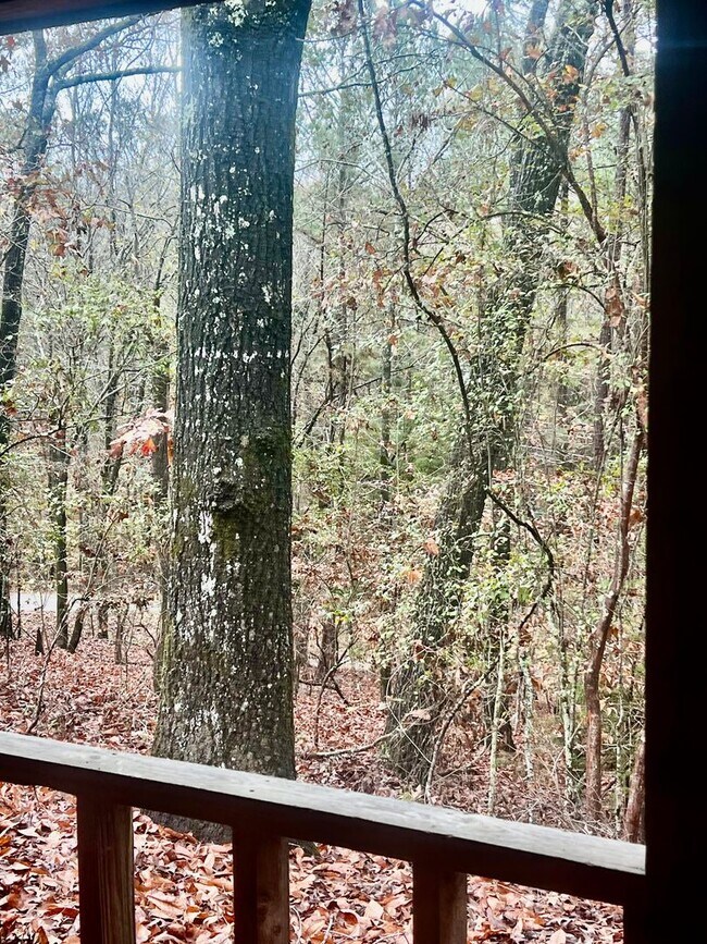 Building Photo - 95 Oakwood Dr