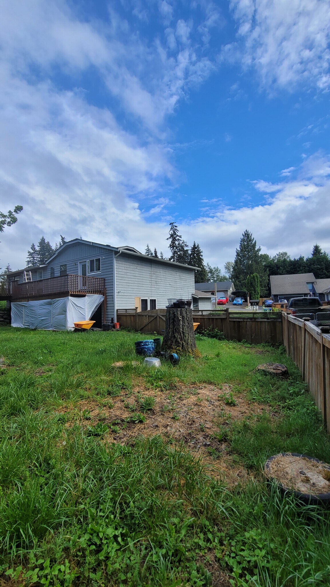 Outside Backyard - 9905 157th St E