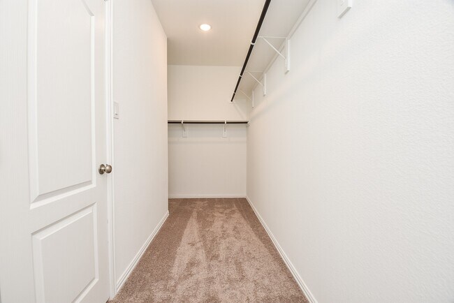 Building Photo - 8106 Royal Palm Ct