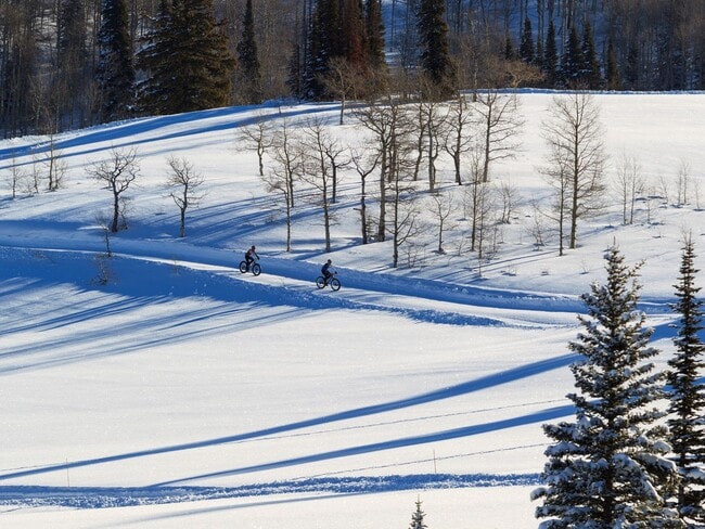 Building Photo - Modern 3-Bedroom Townhome in the Heart of ...