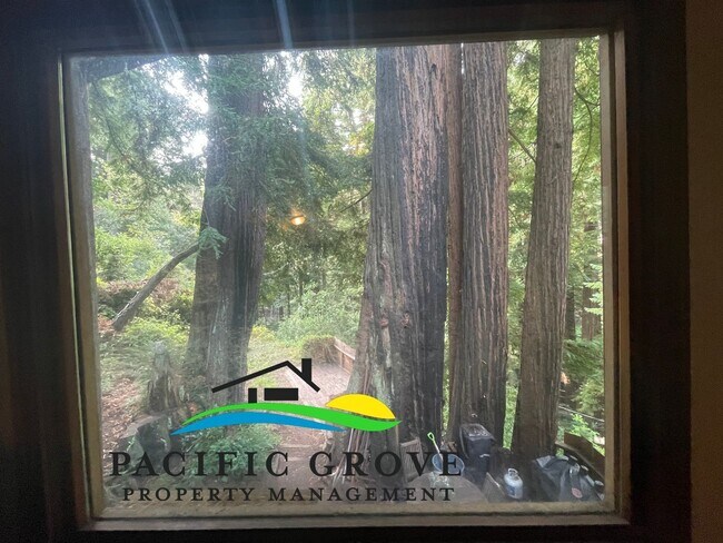 Building Photo - Cabin on Palo Colorado