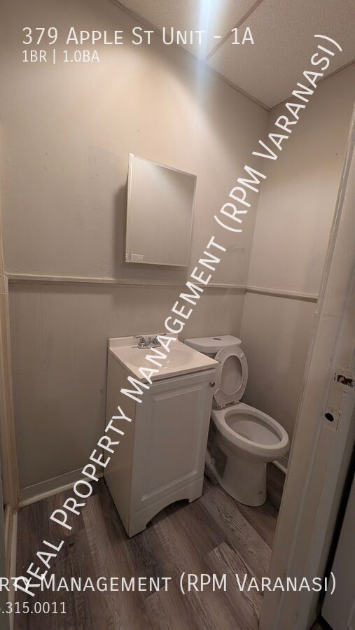 Building Photo - 379 Apple St