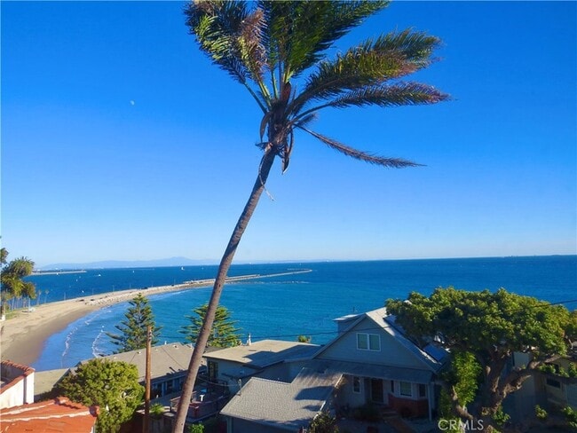 Building Photo - 3935 Bluff Pl