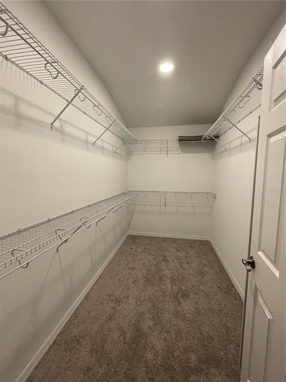 Building Photo - 2506 Stapleford Pl