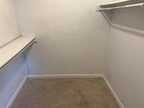 Building Photo - 4201 Longstraw Dr