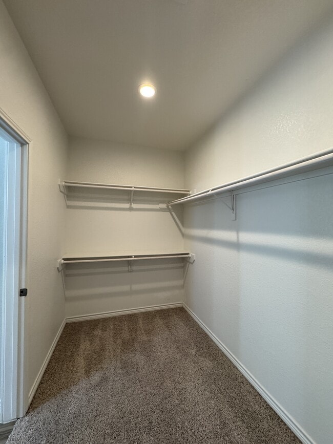 Building Photo - 8142 Luz de Luna St