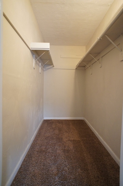 Building Photo - 65 McCormick Terrace