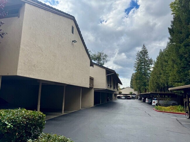 Building Photo - Wonderful lower level 2 bedroom, 1 bath co...