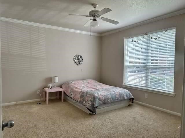 Building Photo - 2255 Braeswood Park Dr