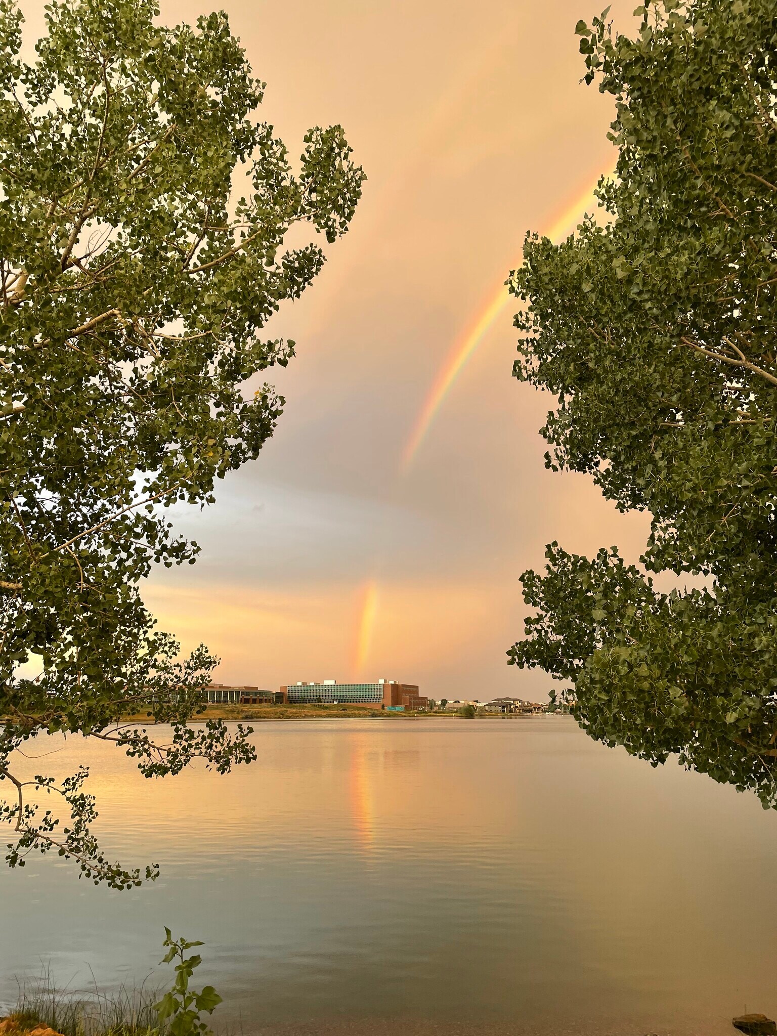 Building Photo - 6871 Xavier Cir