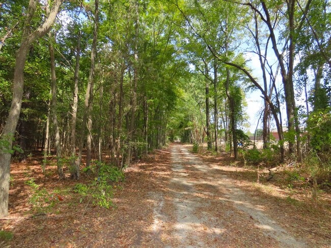 Building Photo - Country Living in Arp! 3 Bedroom, 1 Bath H...