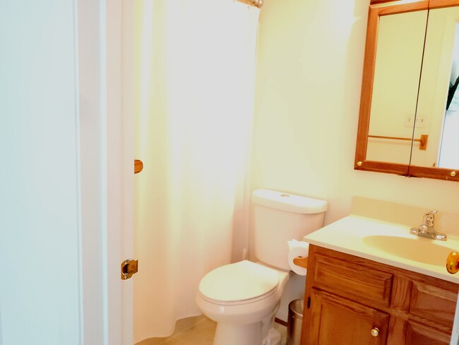 Master bathroom - 4708 Dorsey Hall Dr