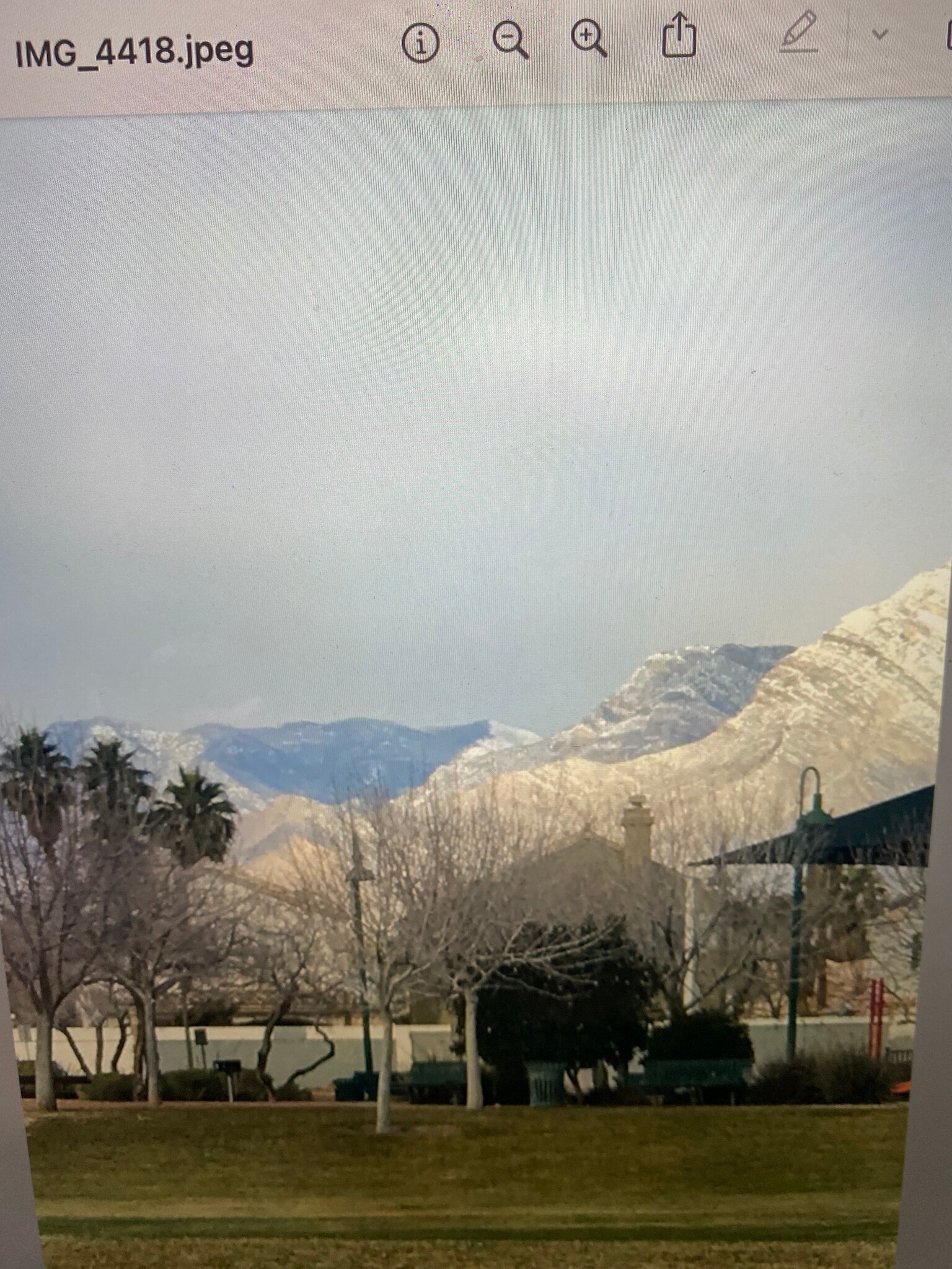 Building Photo - 1317 Olvera way