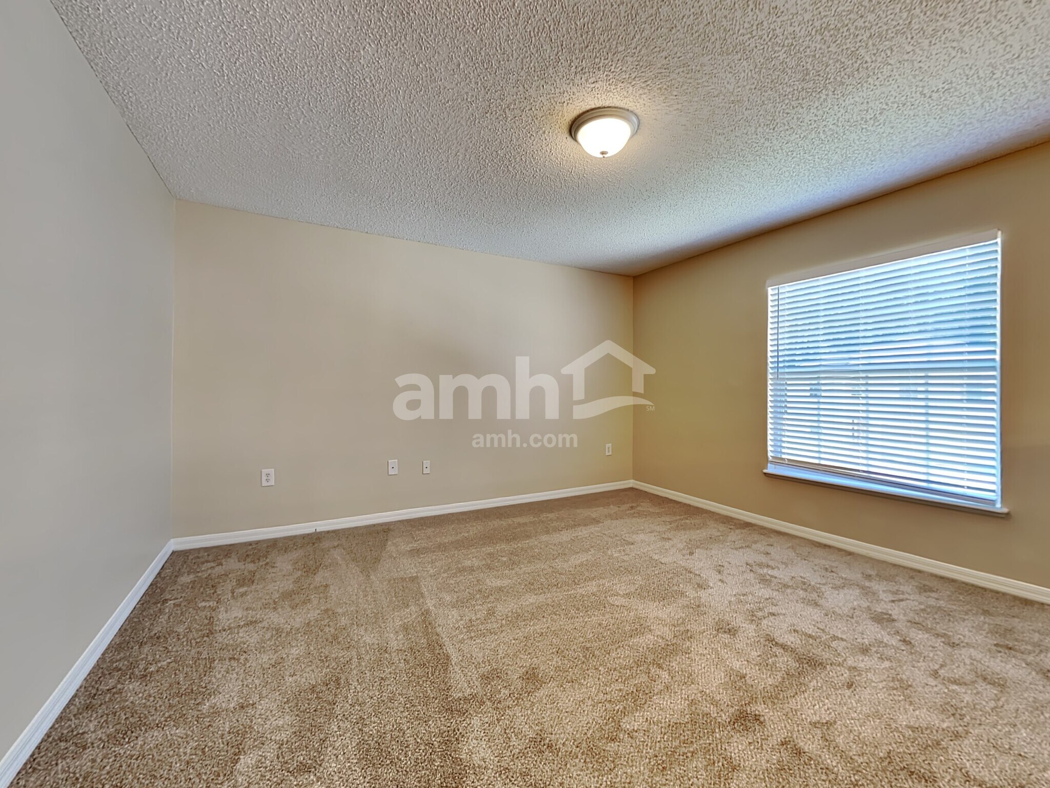 Building Photo - 8051 Foxdale Dr