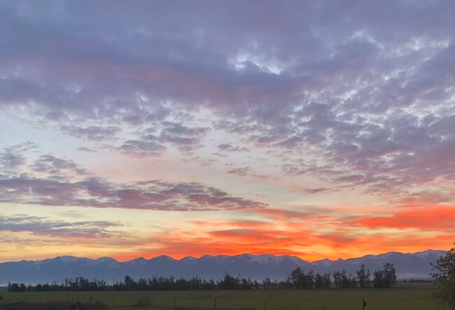 Building Photo - 391 N Somers Rd