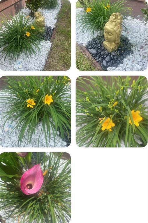 Building Photo - 2835 W Peek Rd NW