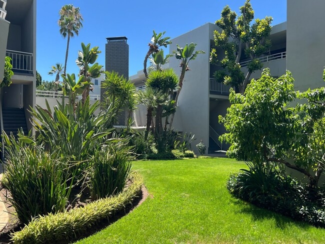 Building Photo - Encino Voltaire