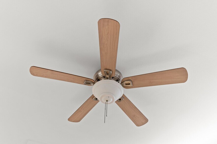 Building Photo - 526 Magnolia Ave