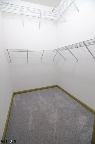 Building Photo - 3027 King Ct