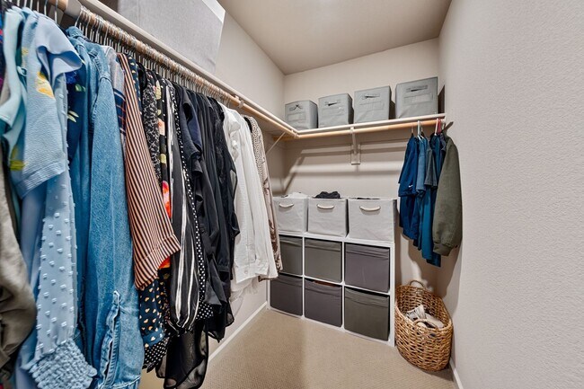 Building Photo - Designer Upgrades & Custom Touches in This...