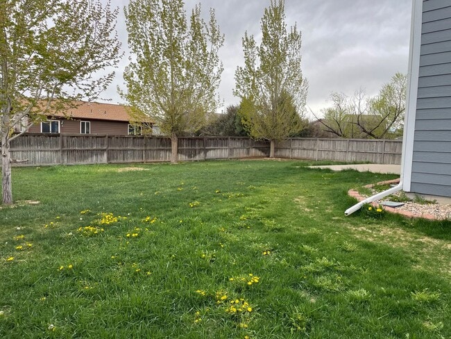 Building Photo - Beautiful 3 Bed 2.5 Bath Home in Milliken, Huge Corner Lot, Fenced Yard & Unfinished Basement