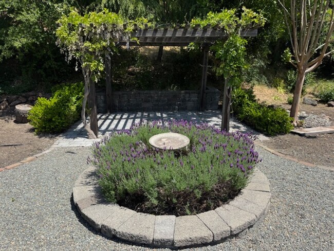 Building Photo - Beautiful updated single level Lafayette h...
