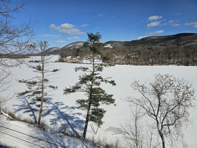 Building Photo - 227 Rockingham St