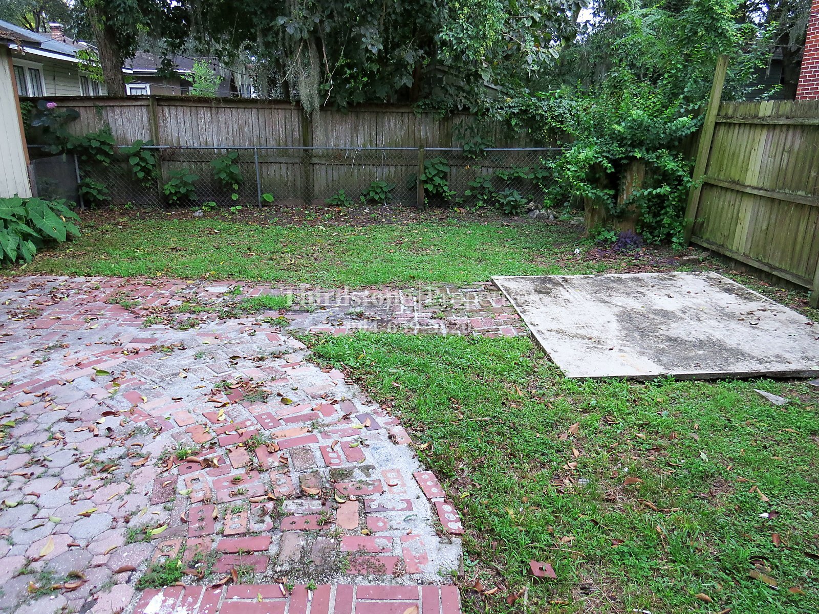 Building Photo - 2858 Olga Pl