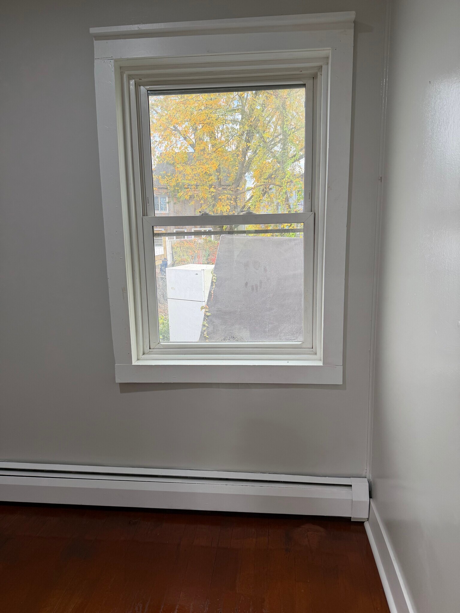 Building Photo - 16 Mohawk St