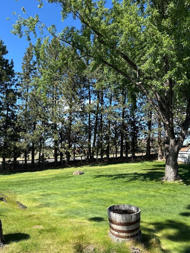 Building Photo - 3 Bed | 2 Bath | 1.17 Acres | Single-Level Home | Mountain Views