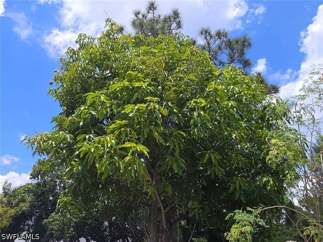 Building Photo - 2103 Unity Ave