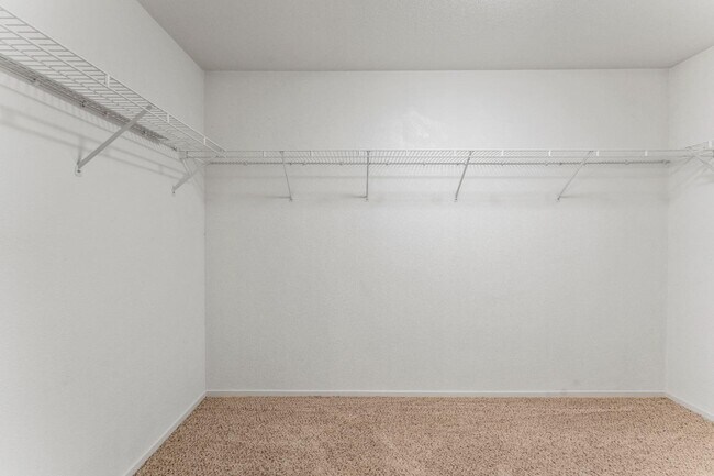 Building Photo - 26 Bridgeford Ct