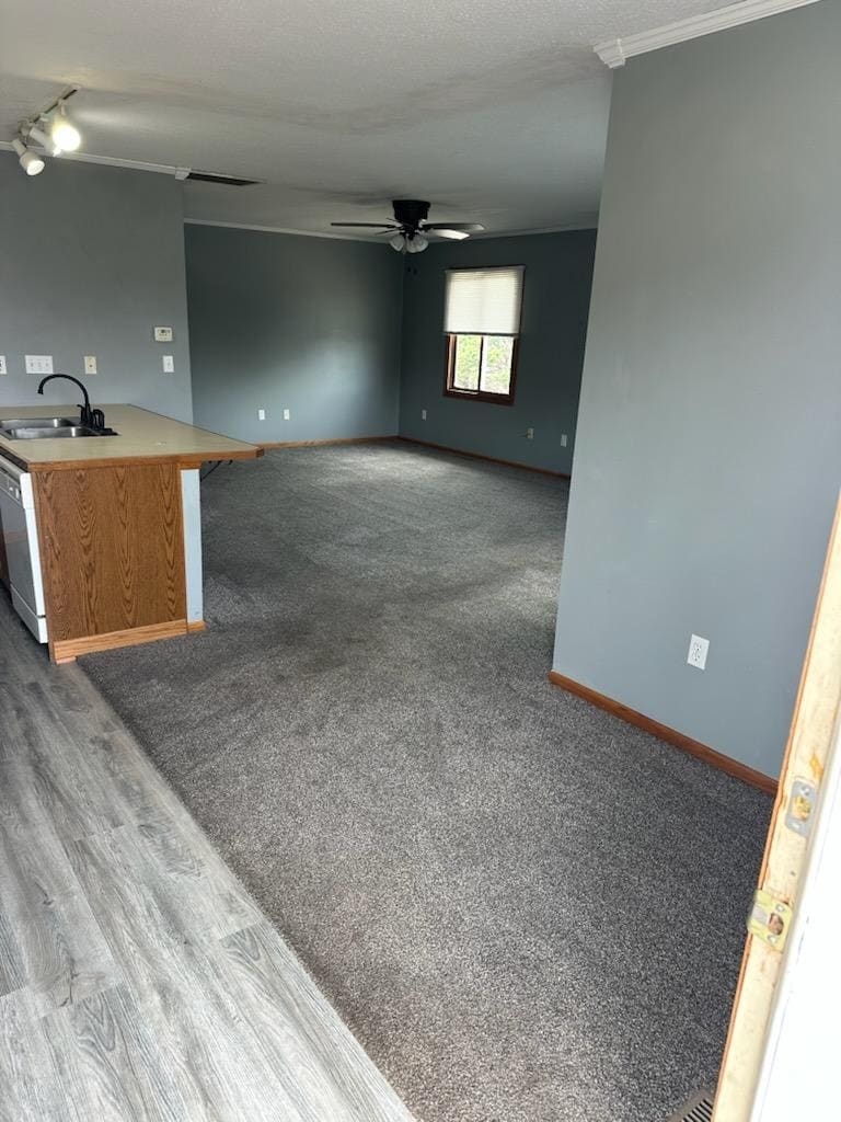 Building Photo - 1208 Koestner St