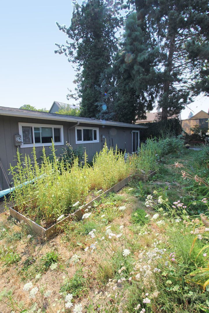 Building Photo - 706-706 N Watts St