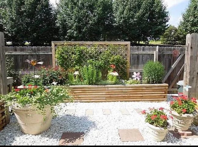 Backyard - 10939 Barrington Ct