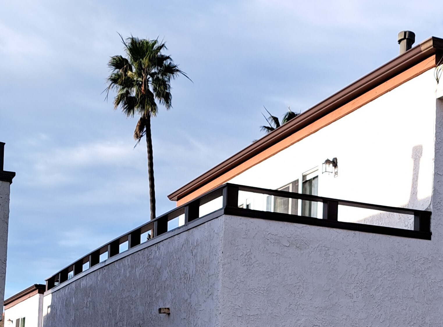 Sunny, large approx. 20 ft southwest facing balcony. - 314 20th St