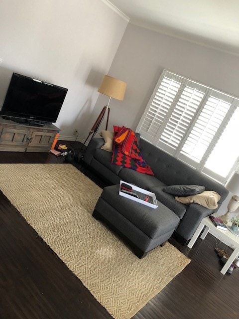living room - 446 Monterey Blvd