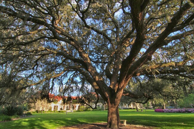 Building Photo - 406 NE 7th Ave