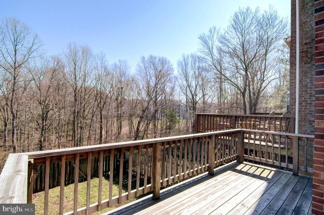 Building Photo - 12109 Stallion Ct