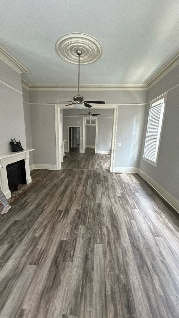 Building Photo - 114 Alexander Street