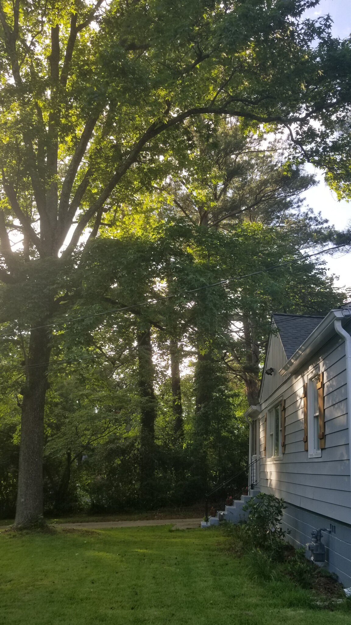 Front yard - 1920 Wildwood Dr