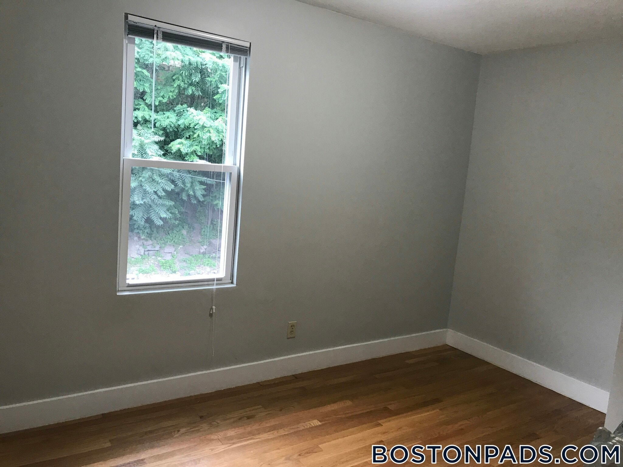 Building Photo - 109 Pleasant St