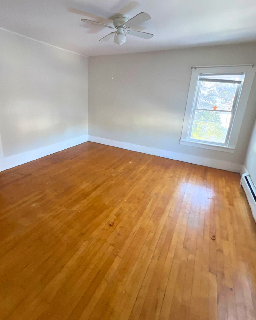 Building Photo - 277 Brunswick St