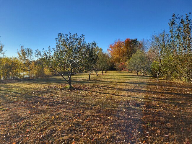 Building Photo - 11719 21 Mile Rd