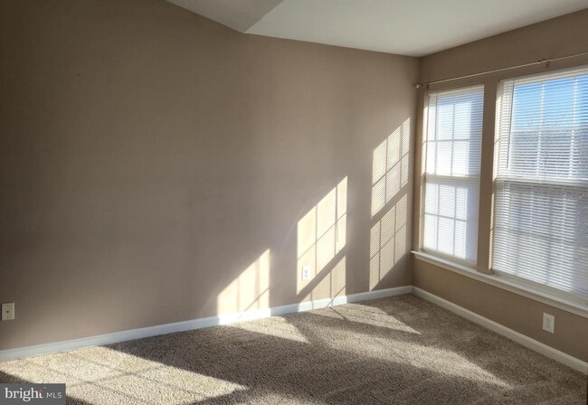 Building Photo - 157 Darling St