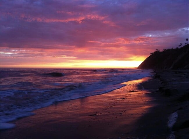 Building Photo - 1608 Bath St