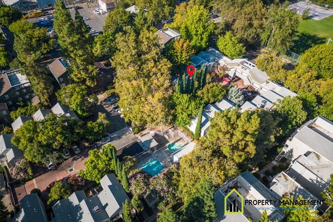 Building Photo - Remodeled Downtown Condo Rental