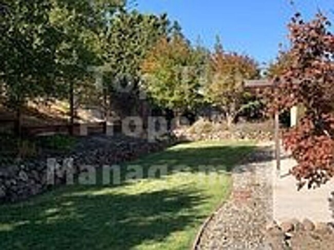 Building Photo - Very nice 4 Bed /2 Bath/1,948 Sqft house in desirable Campolindo neighborhood in Moraga available...