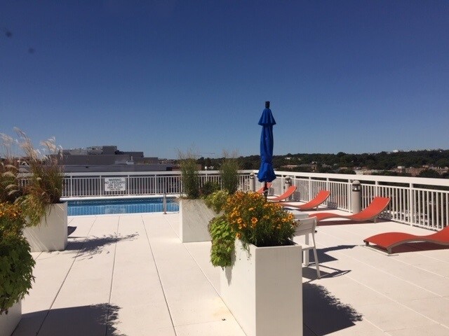 Roof top pool; great views! - 1260 21st St NW